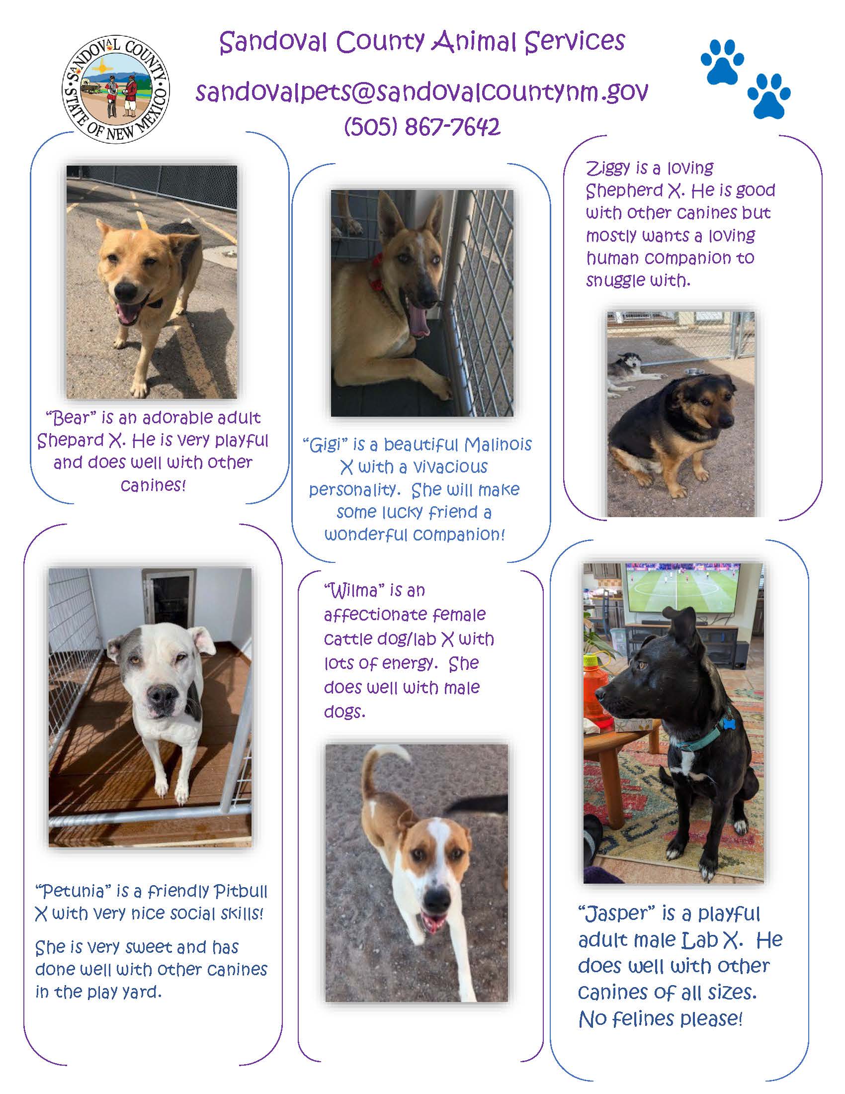 Sandoval County Government New Mexico News, Info, Alerts & More