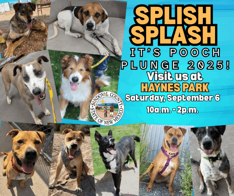 Pooch plunge