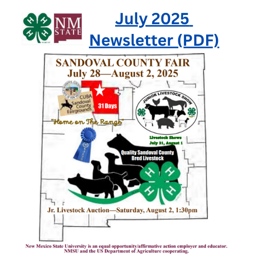 4H Newsletter Cover (July)