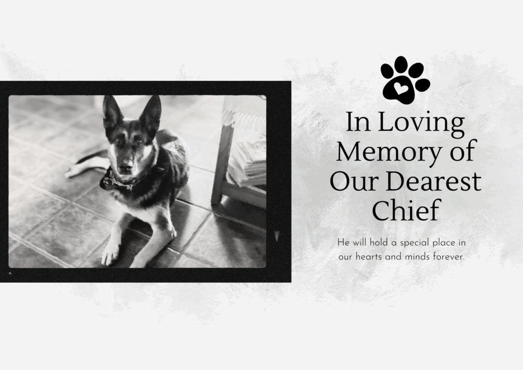 in loving memory of Chief