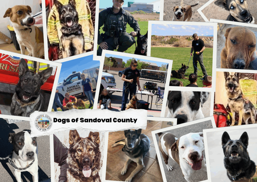 dogs of sandoval county