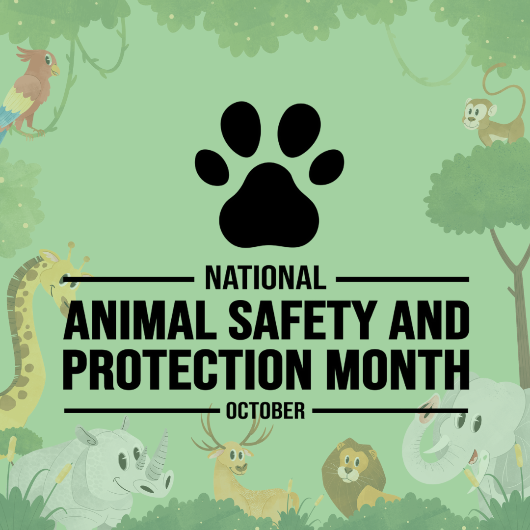 Animal Safety and Protection Month