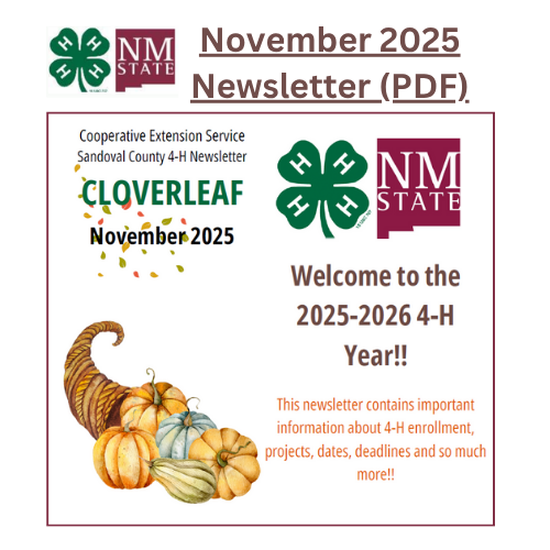 November 2025 4H Newsletter