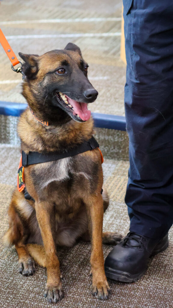 SCFR K9 Mini