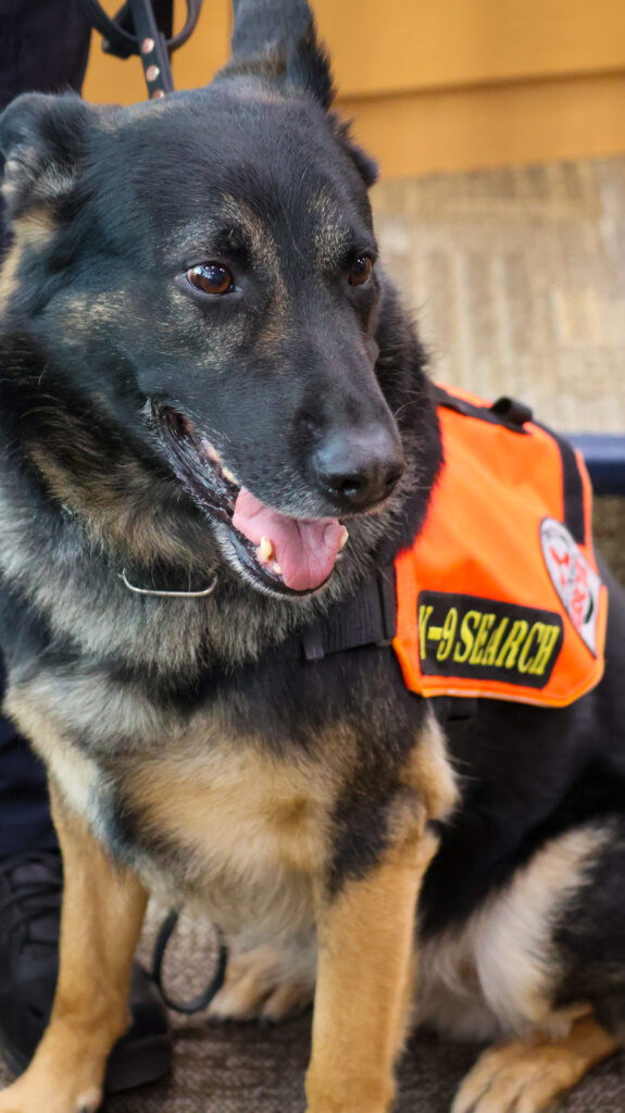 SCFR K9 Shamus