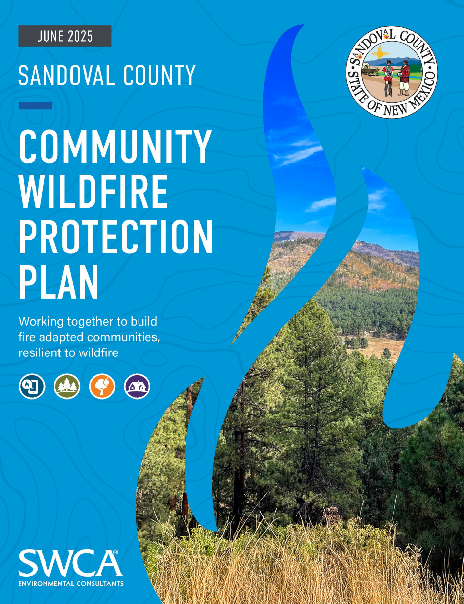 community wildfire protection plan