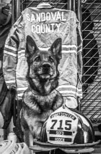 k9 KT