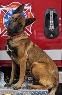k9 mini