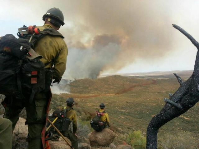 Firefighters at a wilderness fire