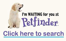 petfinder