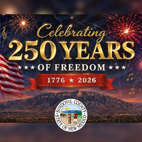 250 years of freedom poster