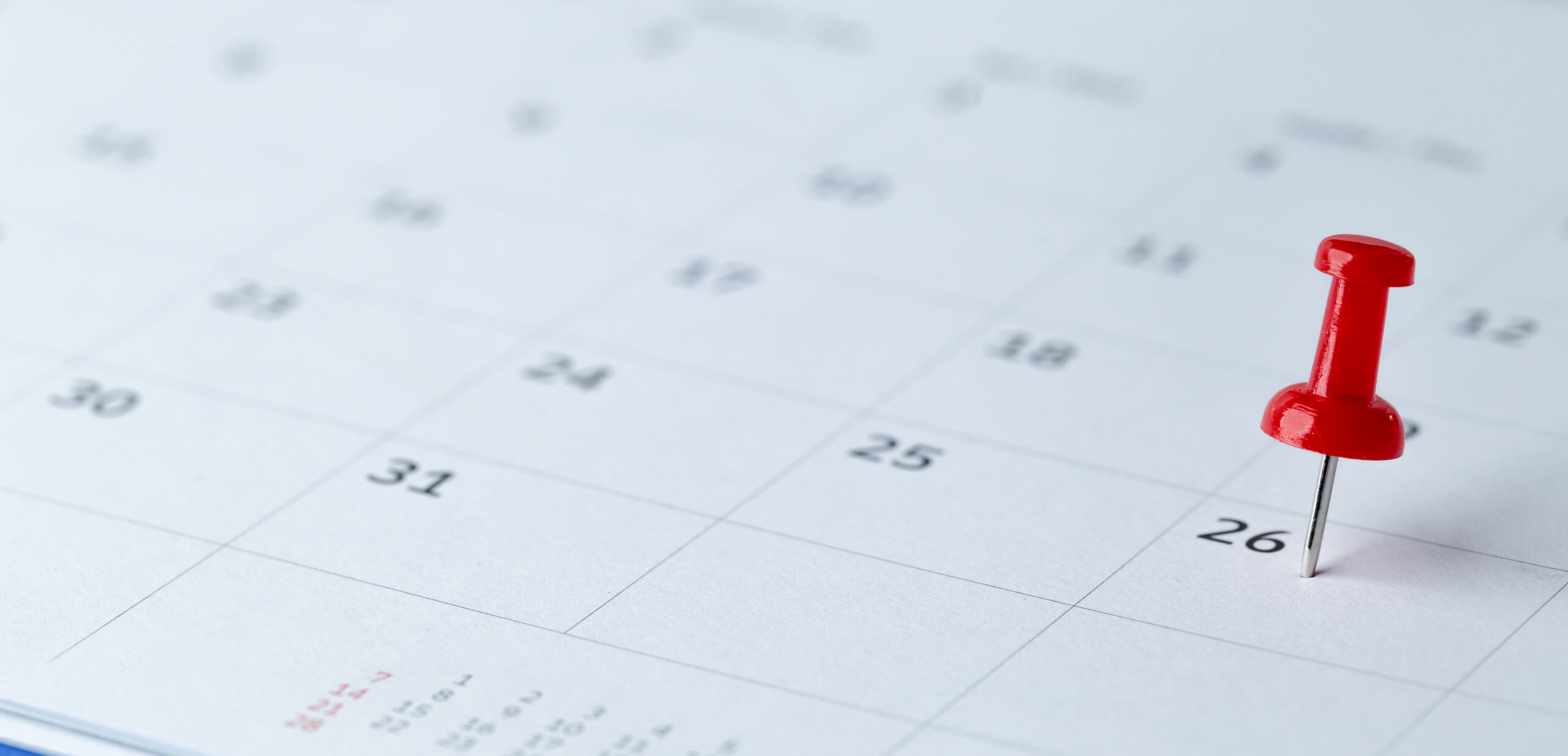 calendar pin