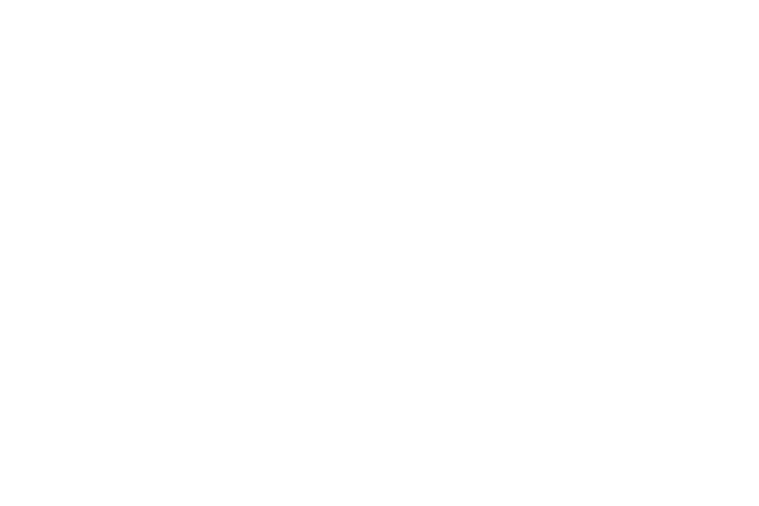 district 4 outline