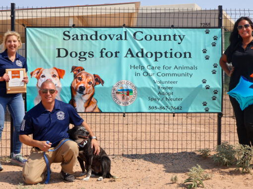 Sandoval County Animal Care Services Again Earns No-Kill Shelter Designation from Best Friends Animal Society Sandoval County Animal Care Services Again Earns No-Kill Shelter Designation from Best Friends Animal Society