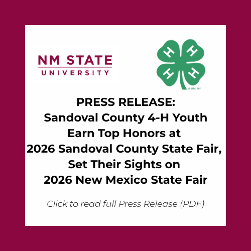 4hpressrelease During Excessive Heat: Find air conditioning. Avoid strenuous activities. Wear light clothing. Check on family members and neighbors. Drink plenty of water. Watch for heat cramps, exhaustion, and stroke. Never leave people or pets in a closed car.